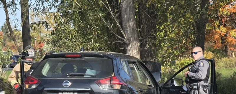 Vehicle strikes tree near Vineyard Drive store